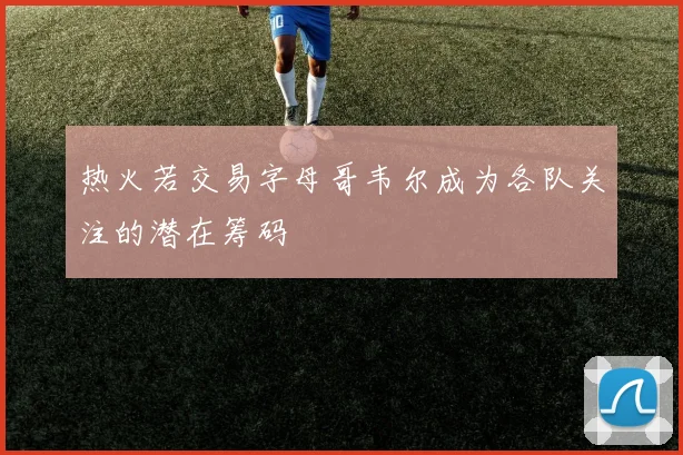 热火若交易字母哥韦尔成为各队关注的潜在筹码