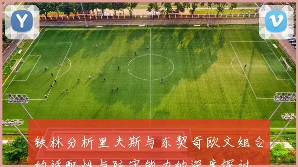铁林分析里夫斯与东契奇欧文组合的适配性与防守能力的深度探讨